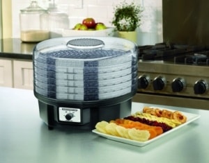 Food Dehydrator